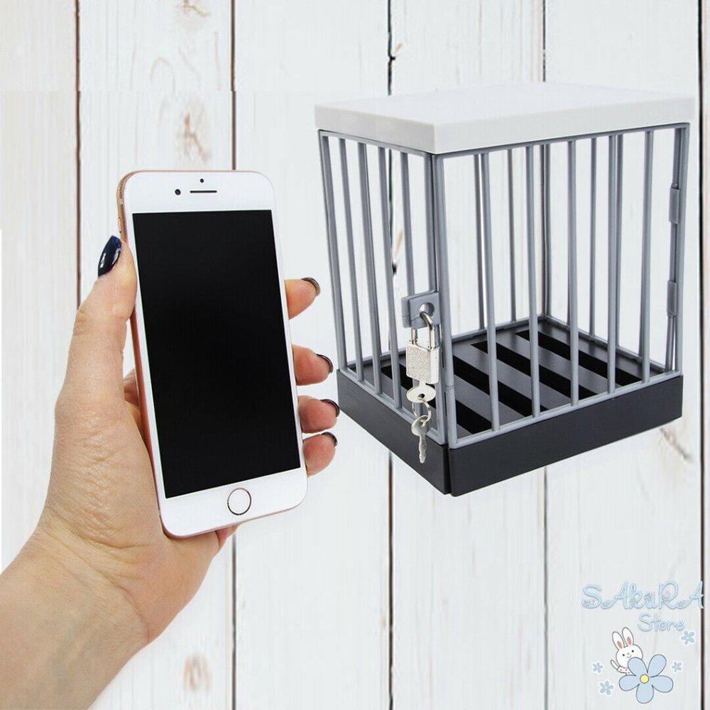 LOCKED UP CELL PHONE  INCLUDES LOCK & KEY INCLUDES